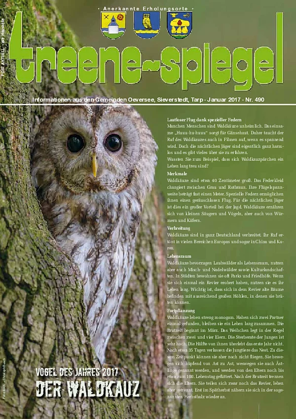 Treenespiegel Januar 2017