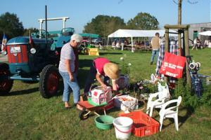 Bild - Staudenmarkt mit Flohmarkt im Arnkiel-Park