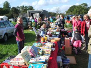 Bild - Staudenmarkt mit Oldtimern und Ponyreiten