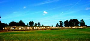 Bild - Zum Tag des „Offenen Denkmals“ in den Arnkiel-Park